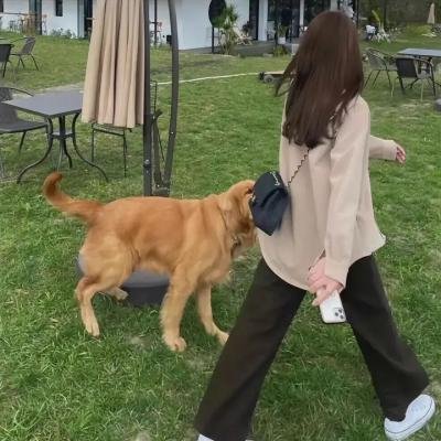 给我翅膀